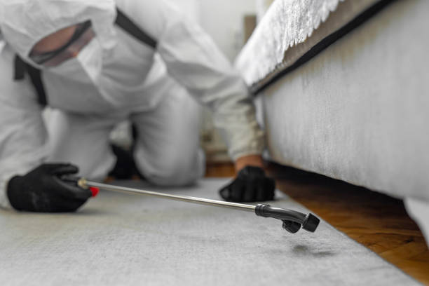 Professional Cockroach Control technician working in Lockney, TX