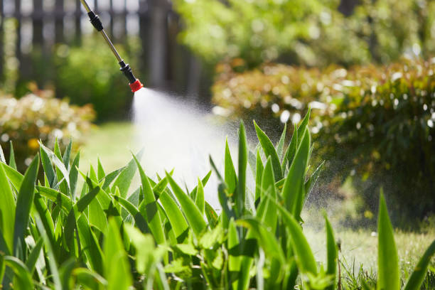 24/7 Emergency Cockroach Control experts in Lockney, TX